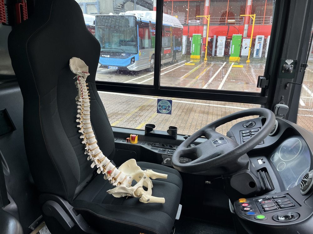 Modèle anatomique de colonne vertébrale utilisé en sensibilisation TMS — RATP Centre Bus Belliard